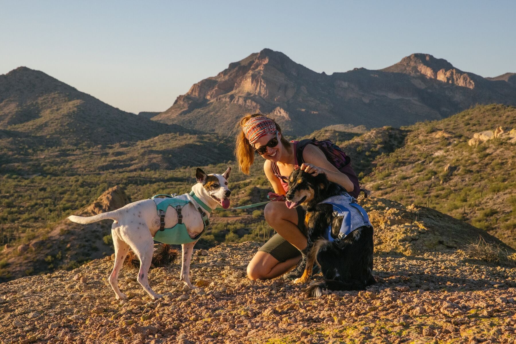 Swamp Cooler Dog Cooling Harness Ruffwear