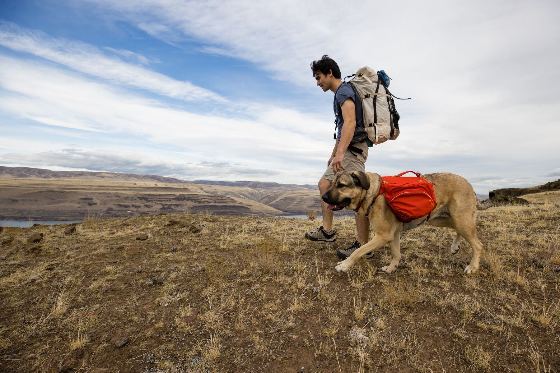 Palisades Dog Backpack Durable Multi Day Backcountry Ruffwear