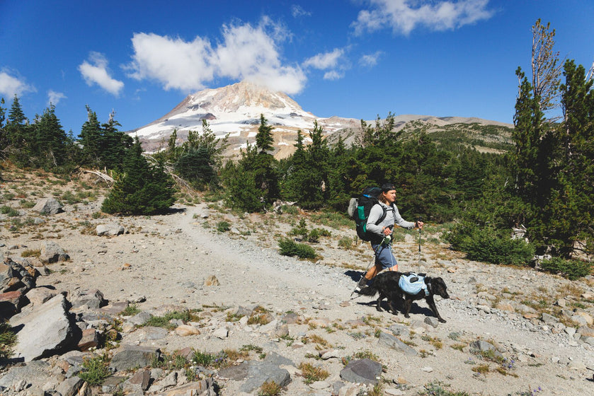 About the Palisades™ Pack Video Thumbnail