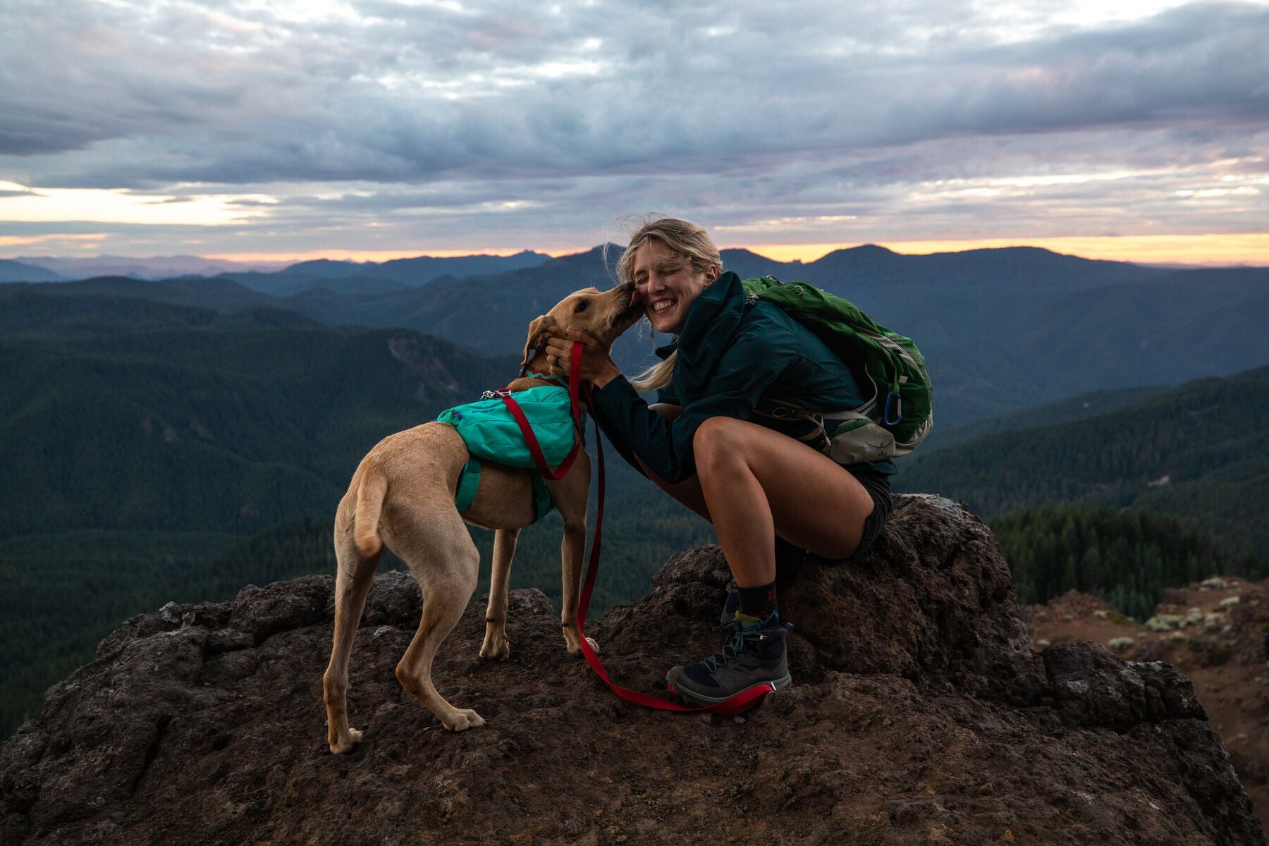 Dog best sale backpacking gear