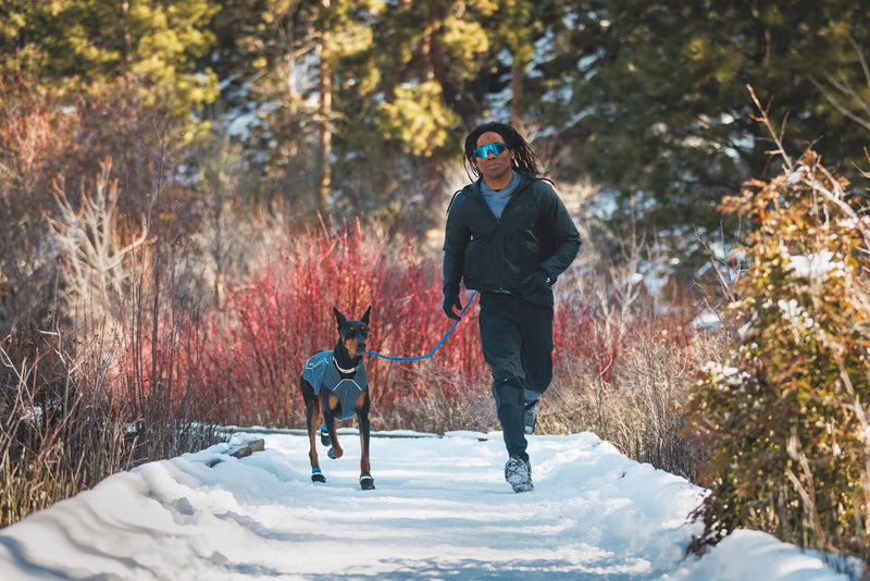 About the Summit Trex™ Dog Boots