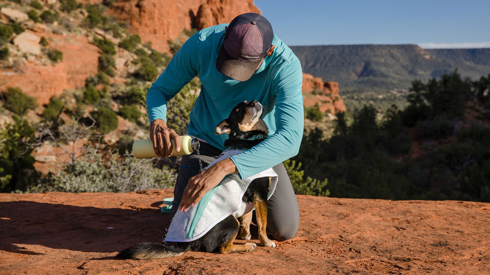 Swamp Cooler Dog Cooling Harness Ruffwear