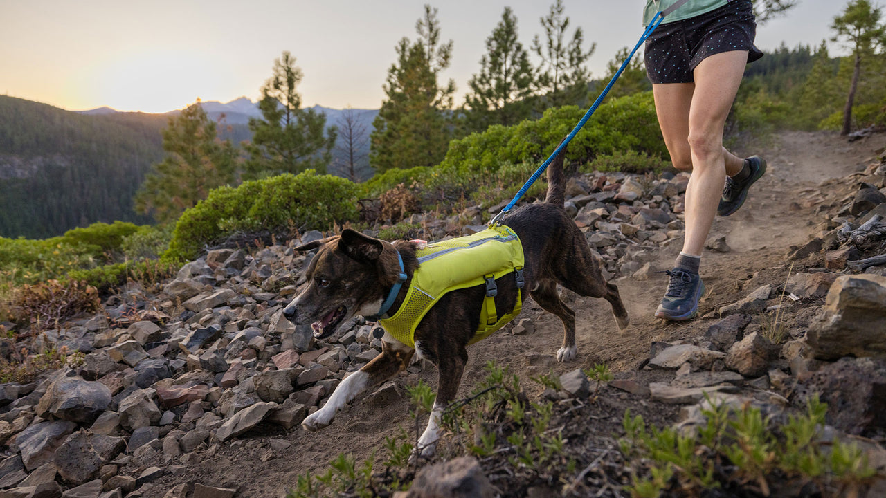 Trail Runner™ Dog Leash for Running
