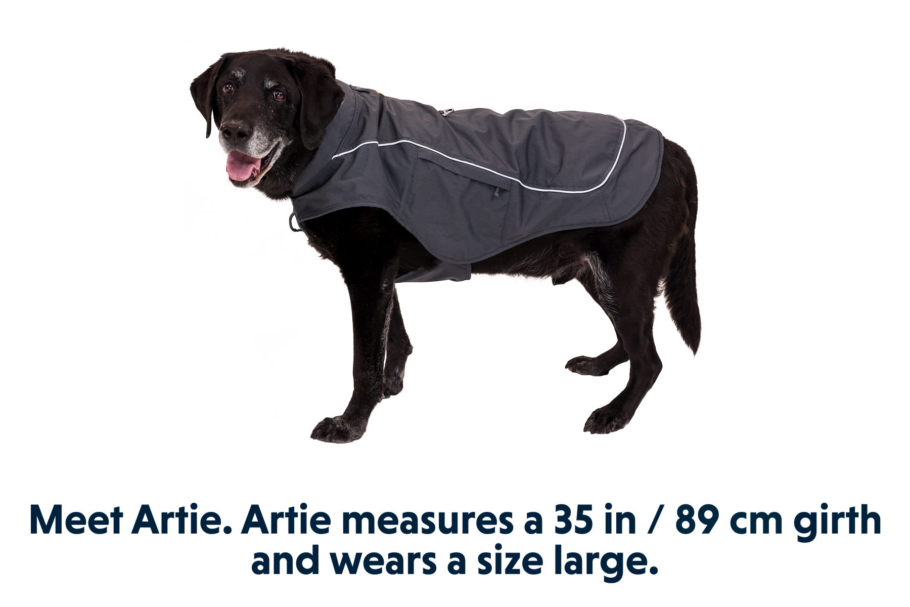 Overcoat Fuse Dog Jacket Ruffwear