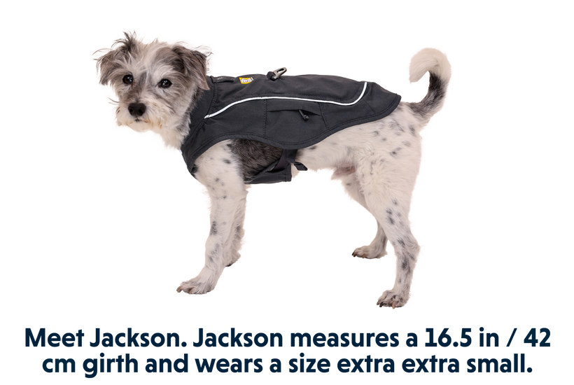 Dog coat top with harness attached