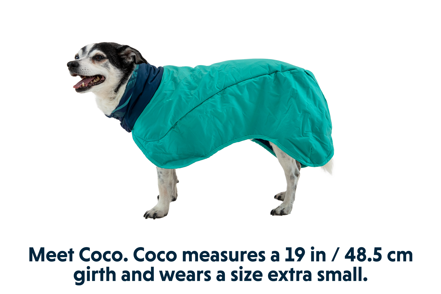 microfibre dog coat