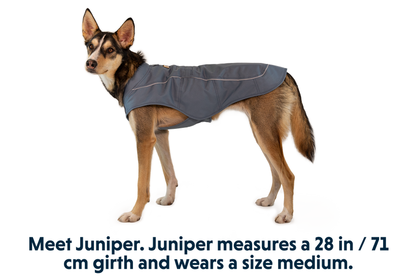 Overcoat Dog Jacket Ruffwear