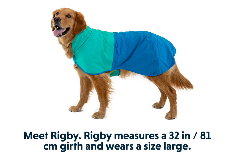 Waterproof jacket 2025 for dogs