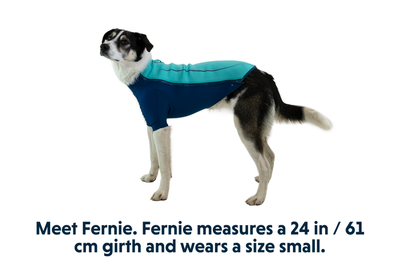 Undercoat Jacket Dog Wetsuit Ruffwear