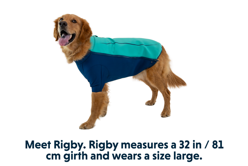 Undercoat Jacket Dog Wetsuit Ruffwear