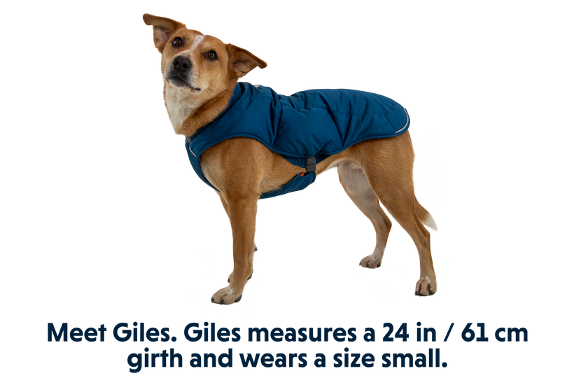Quinzee Dog Puffer Jacket