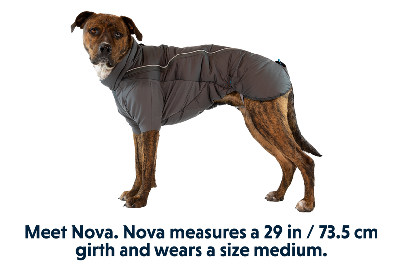 Ruffwear dog deals jacket