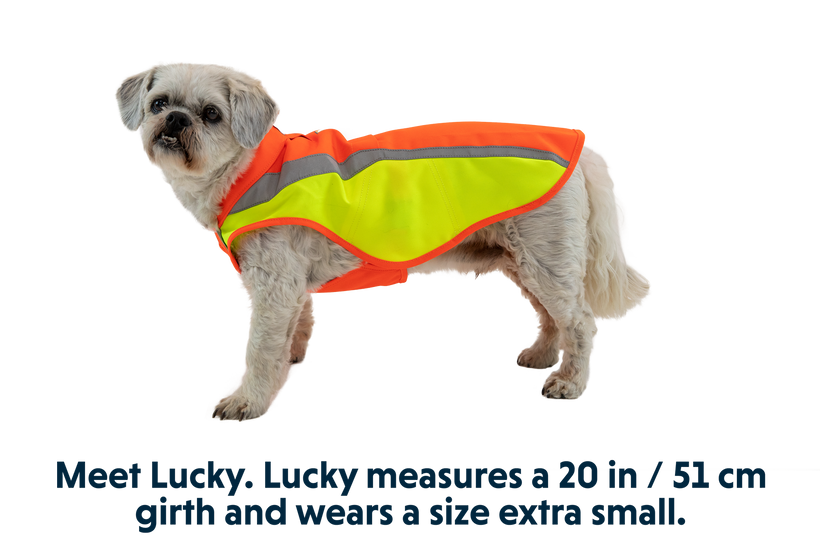 Lumenglow Hi Vis Dog Jacket Reflective Vest Ruffwear