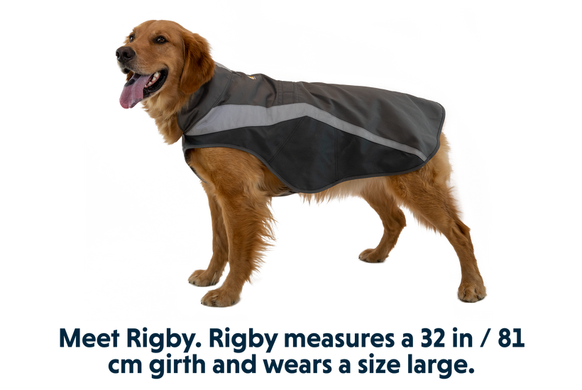 Dog reflective deals gear