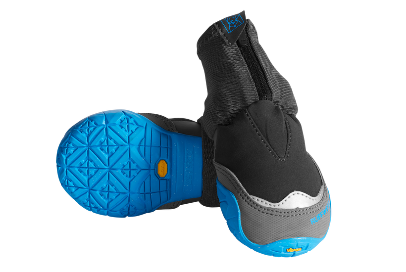 Nike sneakers 2025 for dogs