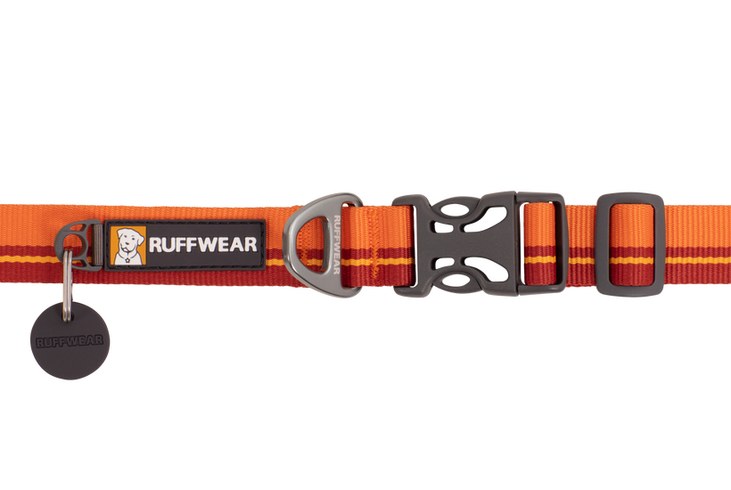 Flat buckle dog collar deals