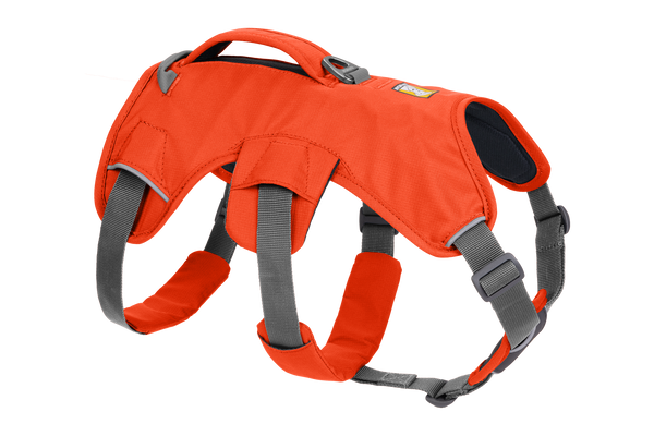 High visibility dog harness online
