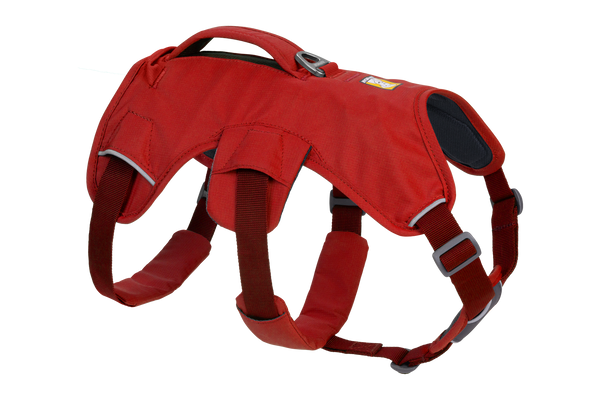 Ancol Viva Lightweight Breathable Comfort Mesh Dog Harness Red Size Medium  (Fits Girth 44-57 cm)
