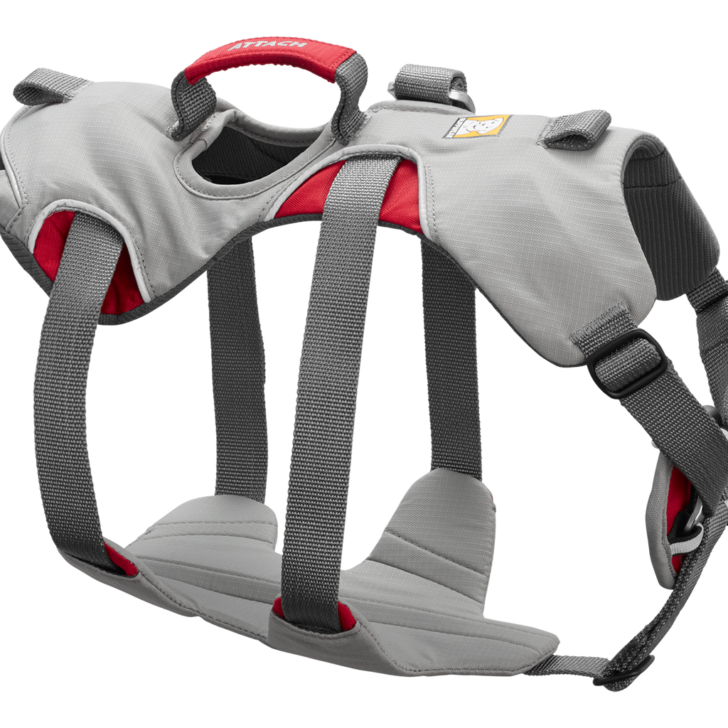 Doubleback™ Full Body Dog Safety Harness Ruffwear