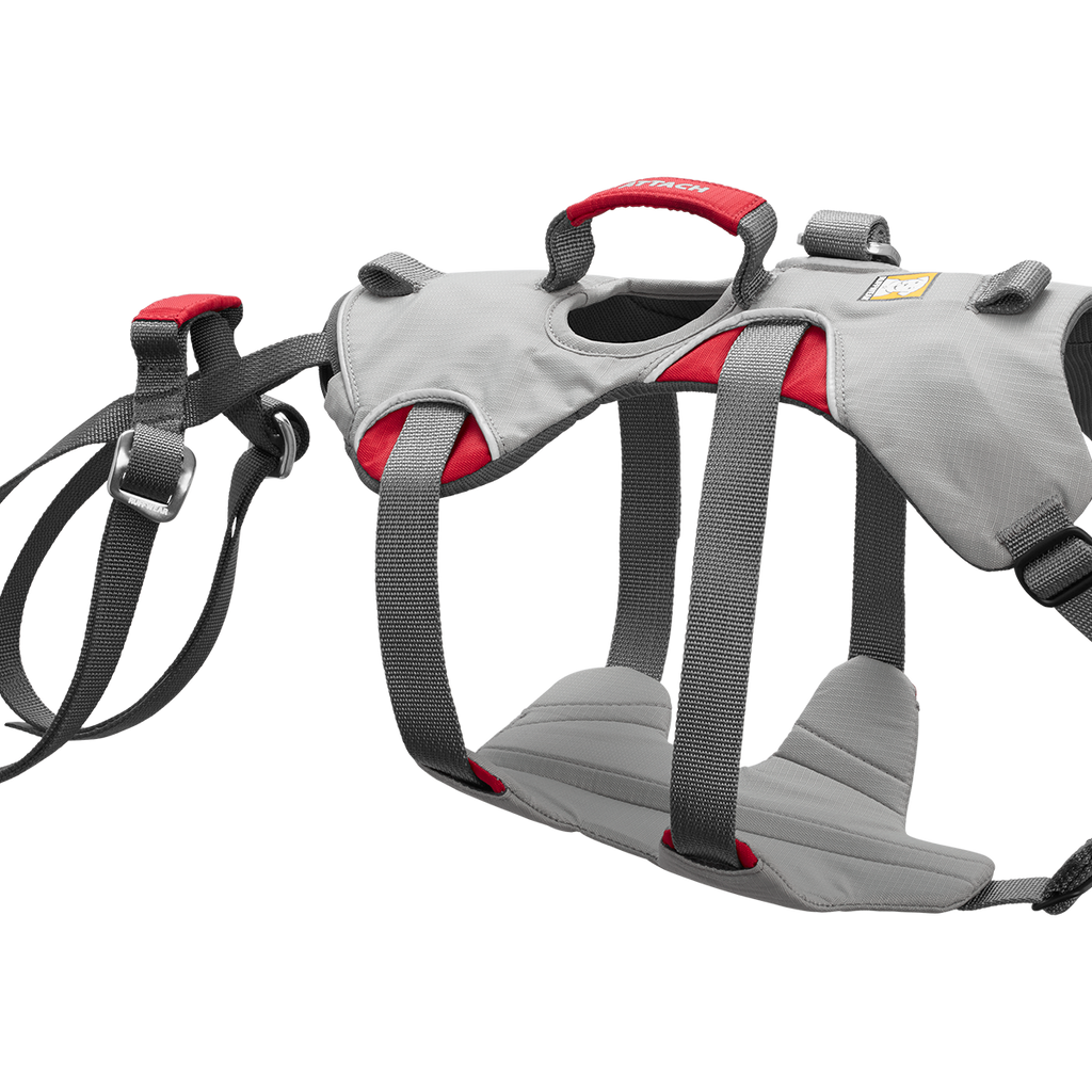 Doubleback™ Full Body Dog Safety Harness Ruffwear