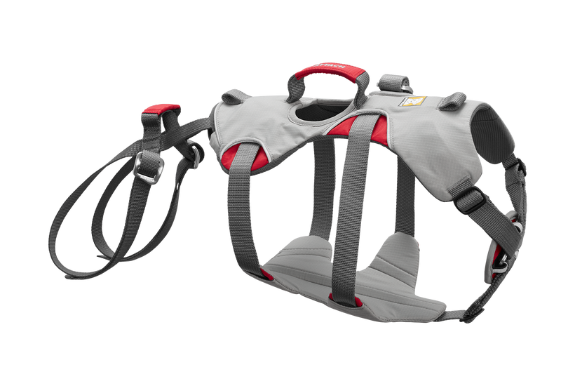 Dog top body strap