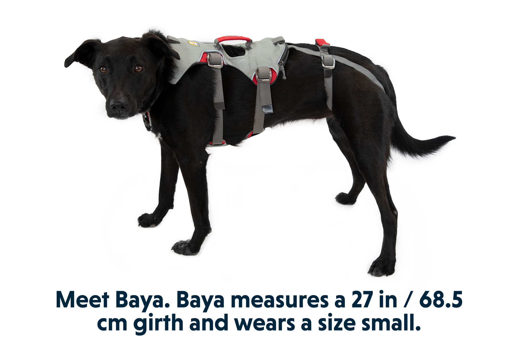 Doubleback Full Body Dog Safety Harness Ruffwear