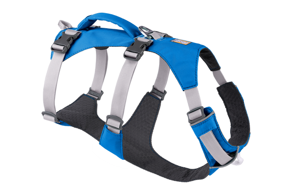 Dog body strap online