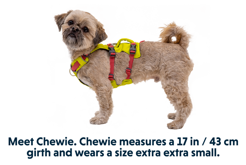 Flagline™ Dog Harness with Handle, Strong Lightweight Lift & Assist