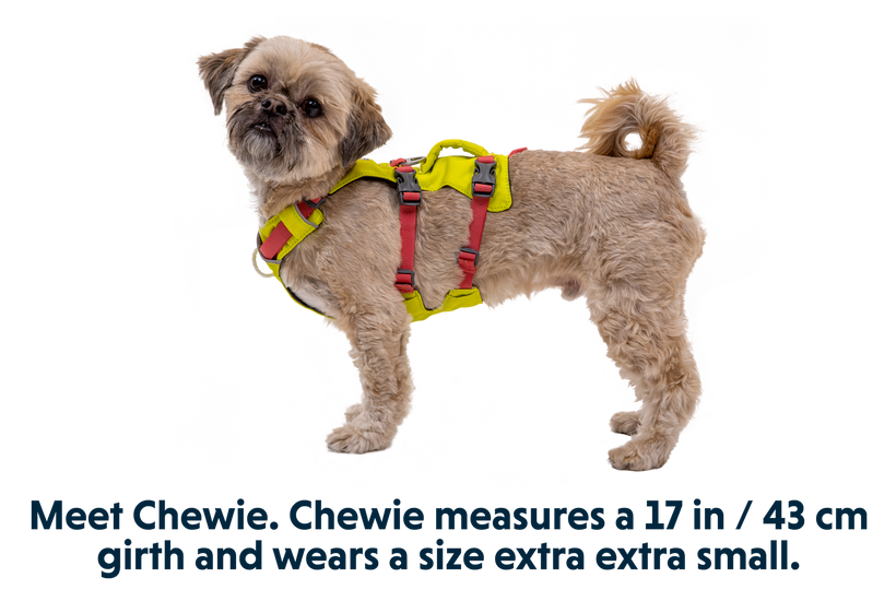 Pet harness with handle hotsell