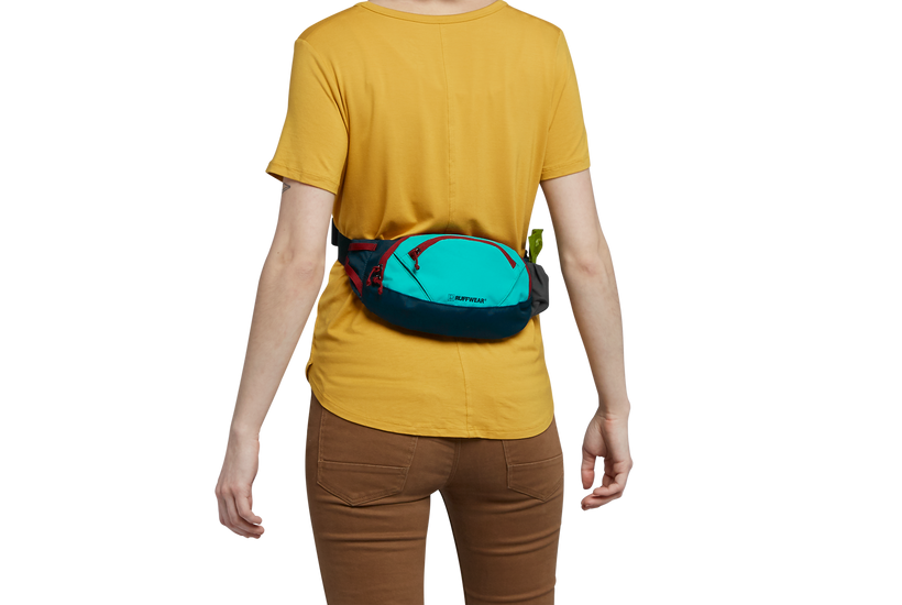 Patagonia 2025 hip bag