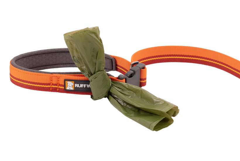 Off white belt dog leash deals