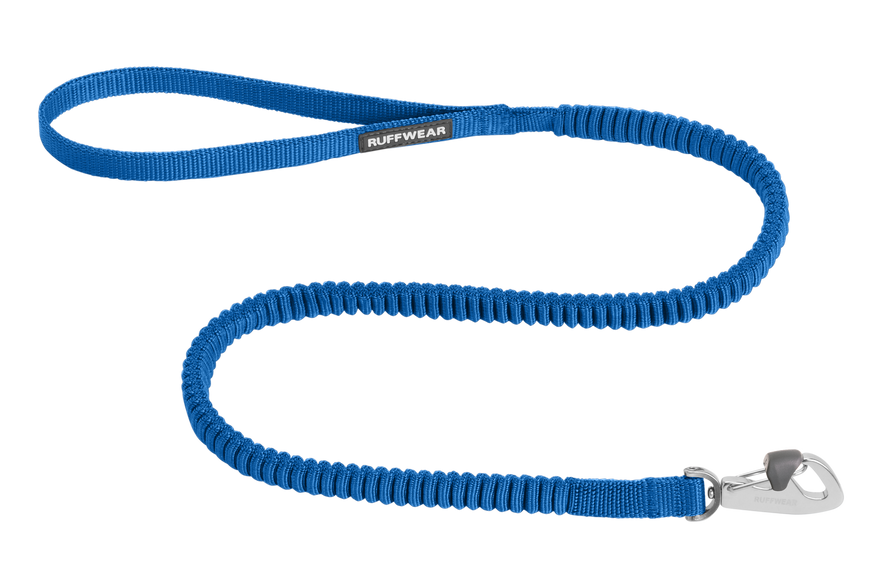 Short online bungee leash