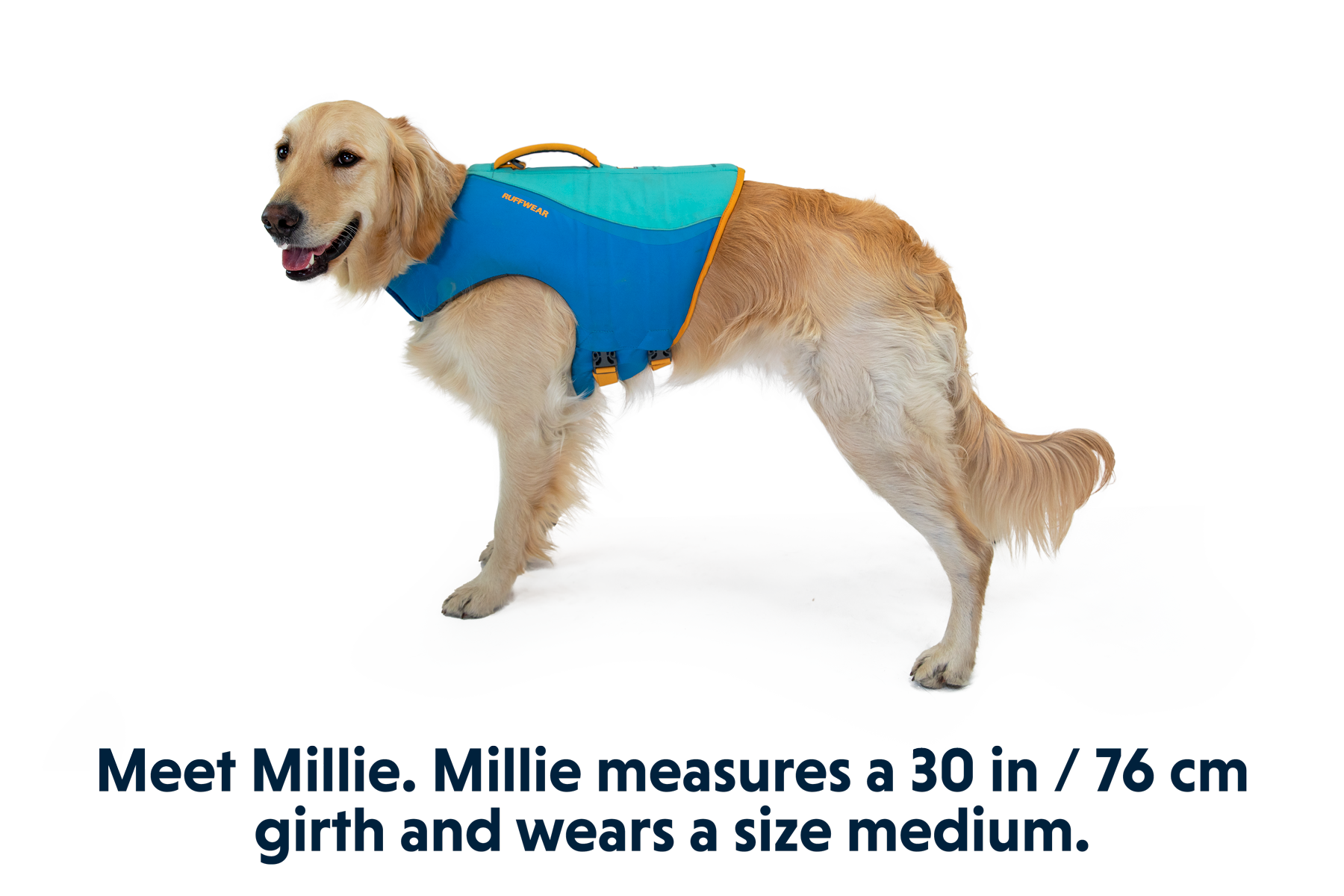 Ruffwear life jacket sizing sales