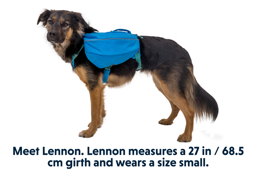 Approach Dog Backpack Pack for Dogs Ruffwear