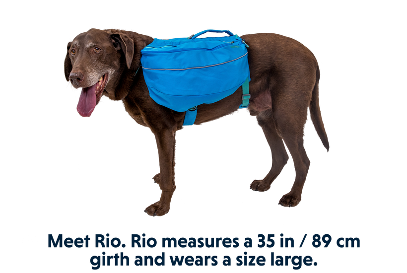 Approach Dog Backpack Pack for Dogs Ruffwear