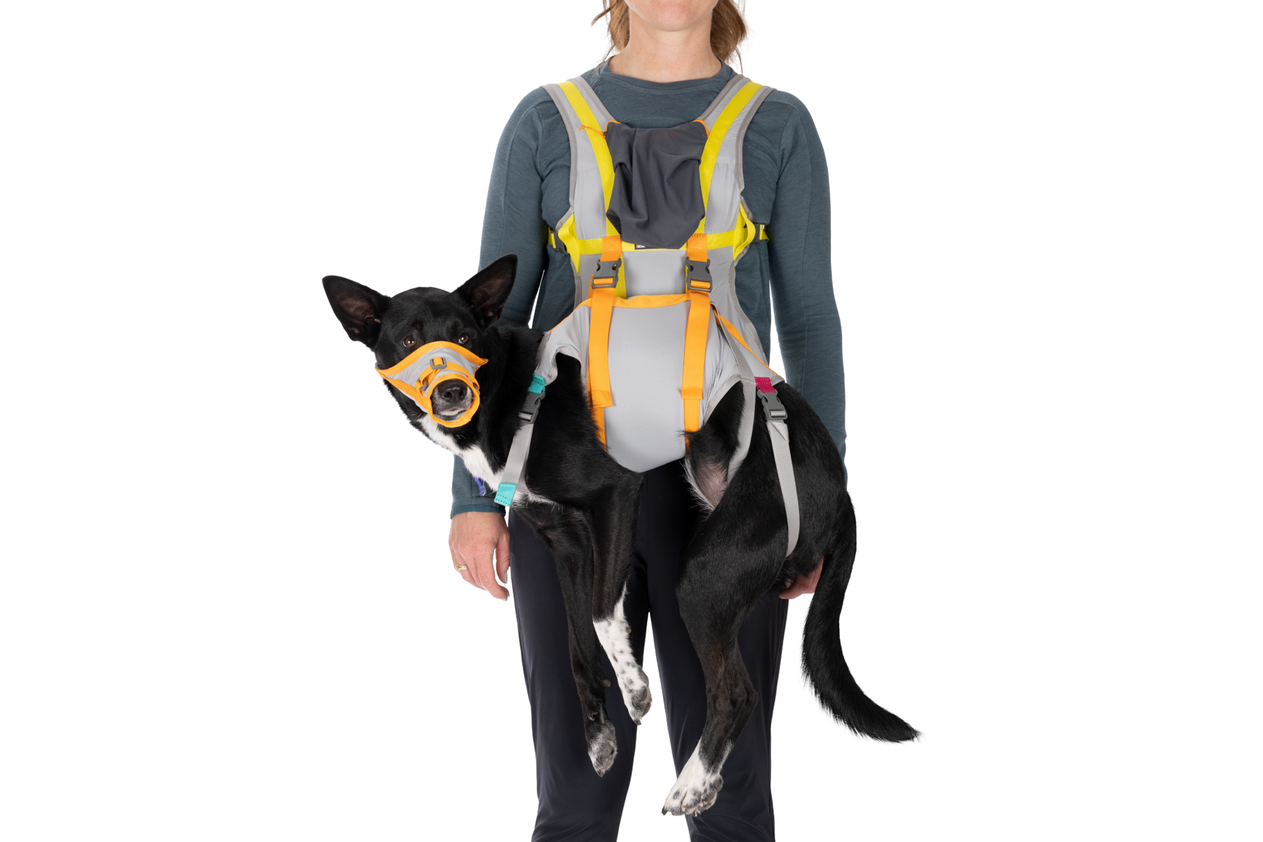 Dog body wrap carrier hotsell