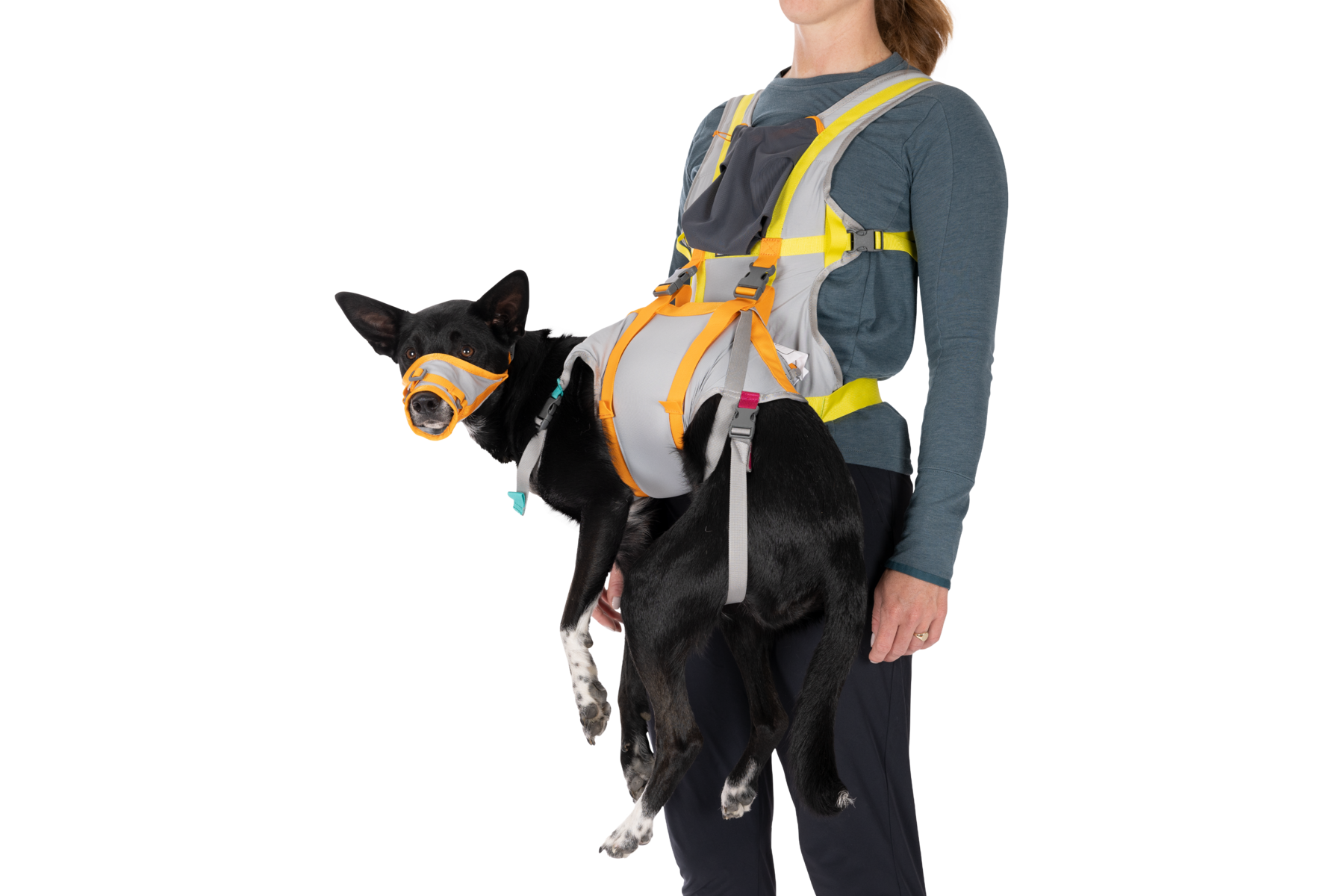 BackTrak Dog Sling Carrier Evacuation Kit Ruffwear