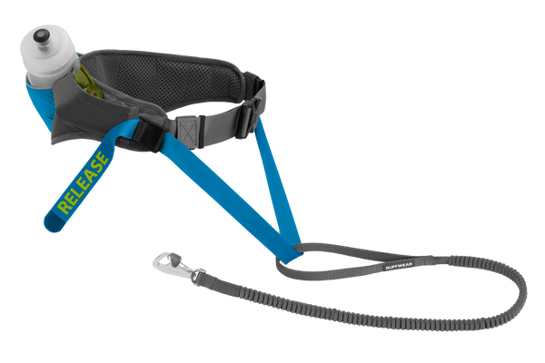 Runner's leash deals dog