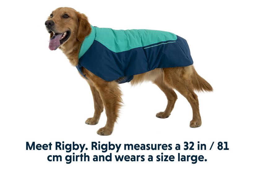 Vert Winter Dog Jacket Waterproof Windproof Insulated Ruffwear